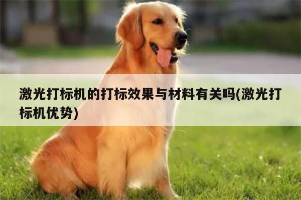 激光打标机的打标效果与材料有关吗(激光打标机优势)【爱游戏app】