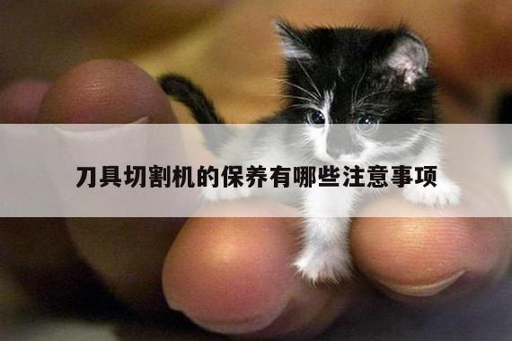 【ayx爱游戏】刀具切割机的保养有哪些注意事项