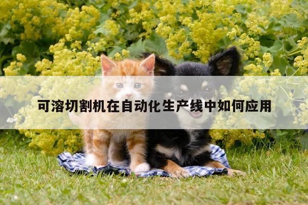 可溶切割机在自动化生产线中如何应用-爱游戏(ayx)官方网站