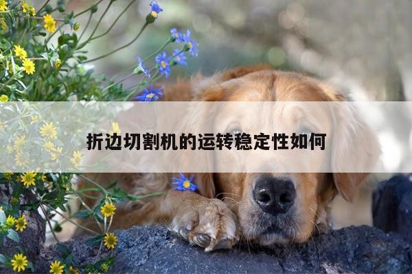 爱游戏(ayx)官方网站_折边切割机的运转稳定性如何