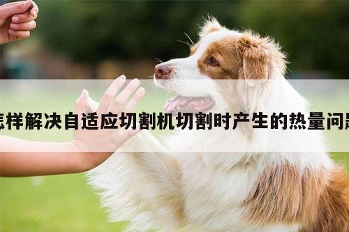 【ayx爱游戏】怎样解决自适应切割机切割时产生的热量问题