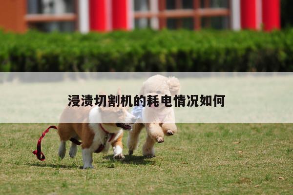 浸渍切割机的耗电情况如何-爱游戏(ayx)官方网站