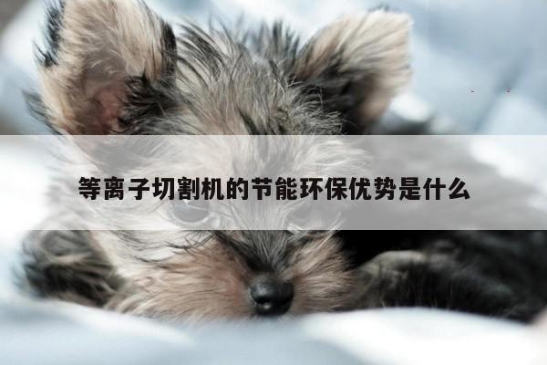 爱游戏平台-等离子切割机的节能环保优势是什么