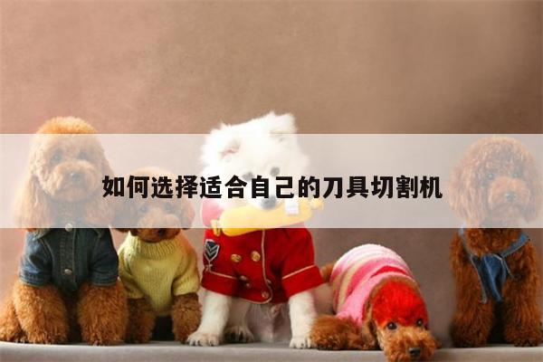 爱游戏平台-如何选择适合自己的刀具切割机