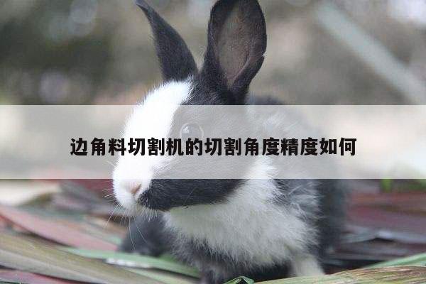 边角料切割机的切割角度精度如何-爱游戏(ayx)官方网站