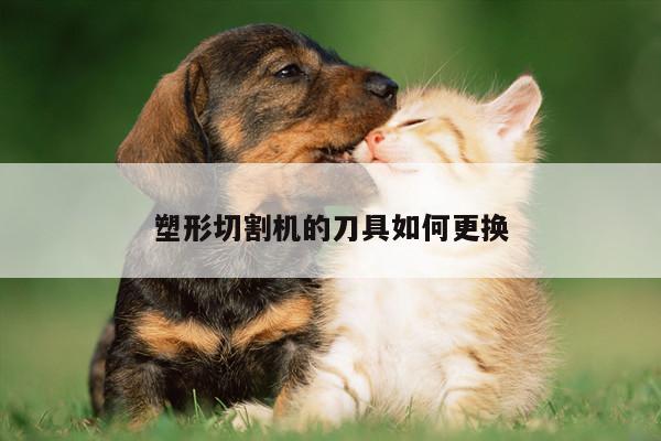 【爱游戏(ayx)官方网站】塑形切割机的刀具如何更换