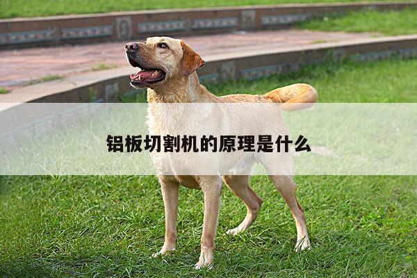 铝板切割机的原理是什么|ayx爱游戏