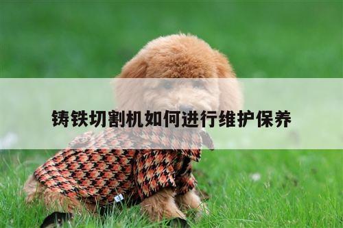 铸铁切割机如何进行维护保养-ayx爱游戏