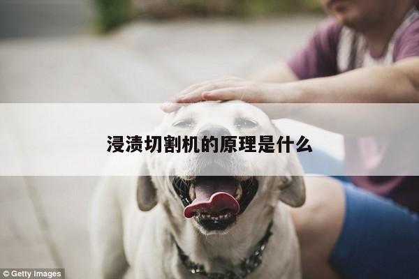 浸渍切割机的原理是什么|ayx爱游戏