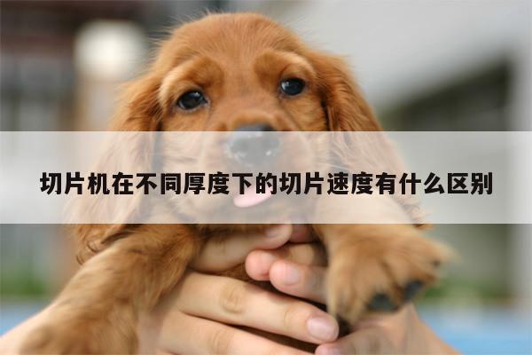 爱游戏平台-切片机在不同厚度下的切片速度有什么区别