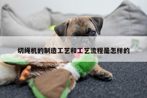 ayx爱游戏-切绳机的制造工艺和工艺流程是怎样的