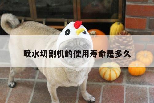 【爱游戏app】喷水切割机的使用寿命是多久