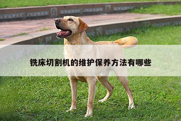 铣床切割机的维护保养方法有哪些：爱游戏平台