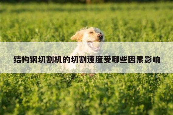 结构钢切割机的切割速度受哪些因素影响【爱游戏(ayx)官方网站】