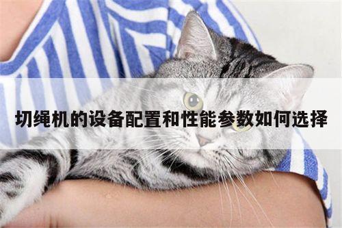切绳机的设备配置和性能参数如何选择-爱游戏(ayx)官方网站