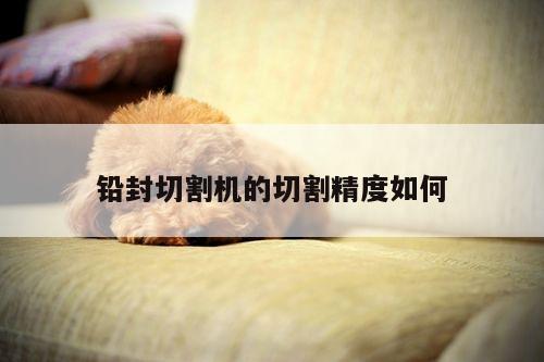 铅封切割机的切割精度如何【爱游戏(ayx)官方网站】