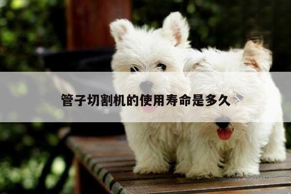 ayx爱游戏-管子切割机的使用寿命是多久