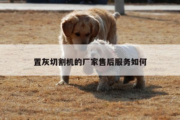 置灰切割机的厂家售后服务如何|爱游戏平台