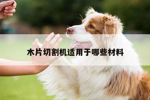 ayx爱游戏_木片切割机适用于哪些材料