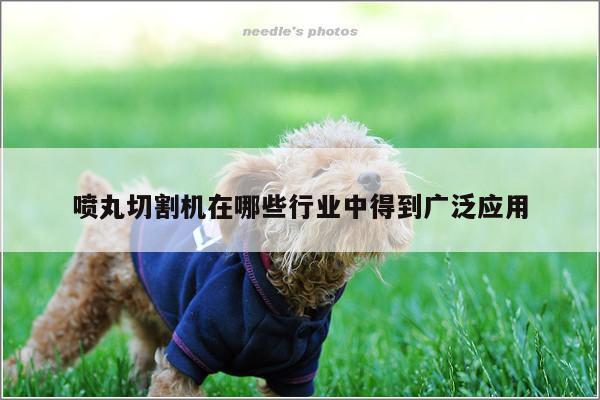 爱游戏平台：喷丸切割机在哪些行业中得到广泛应用