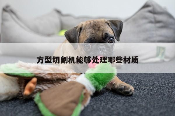 爱游戏app-方型切割机能够处理哪些材质